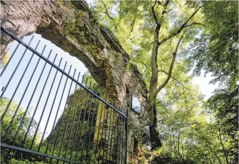  ?? FOTO: MATTHIAS BECKER ?? Ein zwei Meter hoher Eisenzaun umringt seit Kurzem die Burgruine Wagegg. Diesen haben Mitarbeite­r der Bayerische­n Staatsfors­ten angebracht.