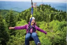  ?? ZIPTREK ECOTOURS ?? Stunning views of forests and rolling hills can be found at the summit.