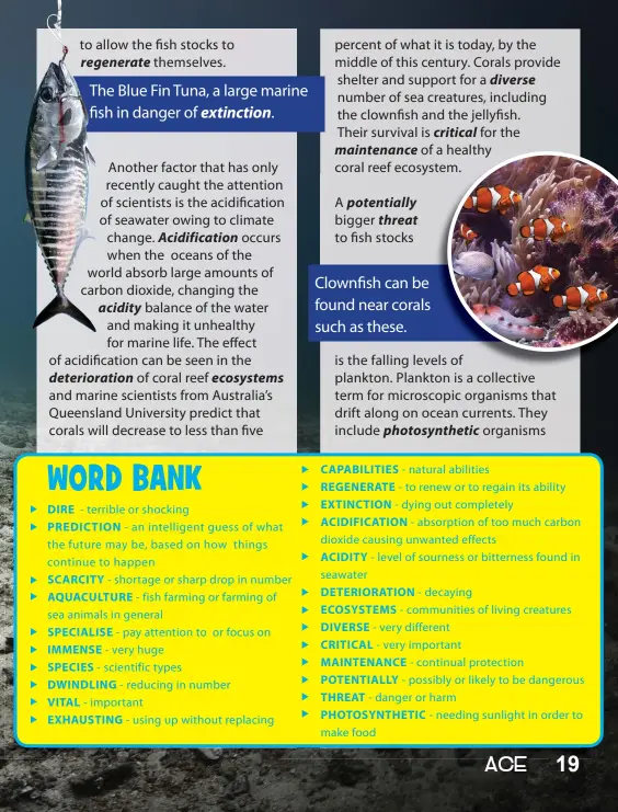  ??  ?? The Blue Fin Tuna, a large marine fish in danger of extinction.
A potentiall­y bigger threat to fish stocks Clownfish can be found near corals such as these.