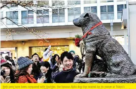  ??  ?? Both pets have been compared with Hachiko, the famous Akita dog that waited for its owner at Tokyo's Shibuya Station every day in the 1920s. The story became legend and a statue of the loyal pet was erected in the dog's memory in front of Shibuya Station (pictured)