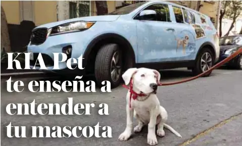  ?? |AUTOS RPM ?? KIA fomenta la educación y crianza de perros guía para personas invidentes.