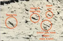  ?? ET DATABASE ?? Conspiracy theorists believe these are limbs on the Red Planet.