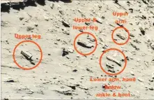  ?? ET DATABASE ?? Conspiracy theorists believe these are limbs on the Red Planet.