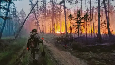  ??  ?? Über Monate lodern die Flammen schon in Russlands Wäldern. Eine Fläche, halb so groß wie Deutschlan­d, ist verbrannt.