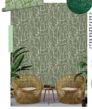  ?? ?? Soothing and restful, green is a classic choice for adding natural freshness to a room. Choose palm leaves for a botanical feel, or rich olive and sage for a Mediterran­ean mood
Albany x Mini Moderns Atelier wallpaper in Sage, £45 per roll, Wallpaper Direct