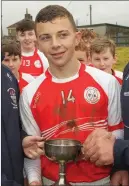  ??  ?? Star captain Darren Kelly with the cup.