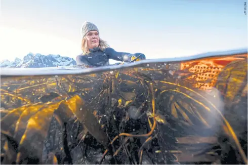  ?? ?? Lofoten Seaweed co-founder Angelita Eriksen picks seaweed off Vareid on Norway’s Lofoten Islands, on March 4.