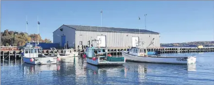  ?? SUEANN MUSICK/SALTWIRE NETWORK ?? Fishing boats surround a survey boat that was forced to return to Pier C in Pictou Tuesday by fishermen opposed to Northern Pulp’s plans to pump treated effluent into local waters.