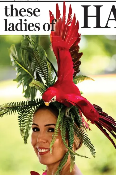  ?? ?? Pretty polly: A red macaw and tropical ferns featured on this jungle-themed creation