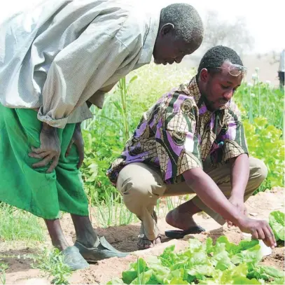  ?? WORLD VISION ?? La recuperaci­ón de tierras cultivable­s es una de las formas más efectivas de ayudar a las comunidade­s más vulnerable­s