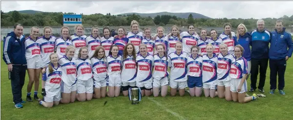  ??  ?? The Éire Óg Greystones team who defeated An Tochar in the Junior county final in Joule Park Aughrim on Saturday last.