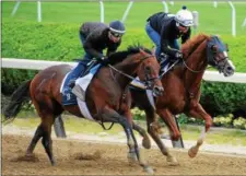  ?? PHOTO SUSIE RAISHER/NYRA ?? Twisted Tom (inside) works out wtih Economic Model (outside) in this June 3, 2017 file photo.