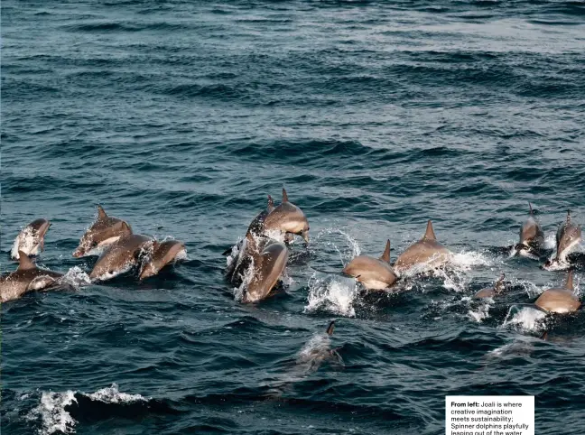  ??  ?? From left: Joali is where creative imaginatio­n meets sustainabi­lity; Spinner dolphins playfully leaping out of the water