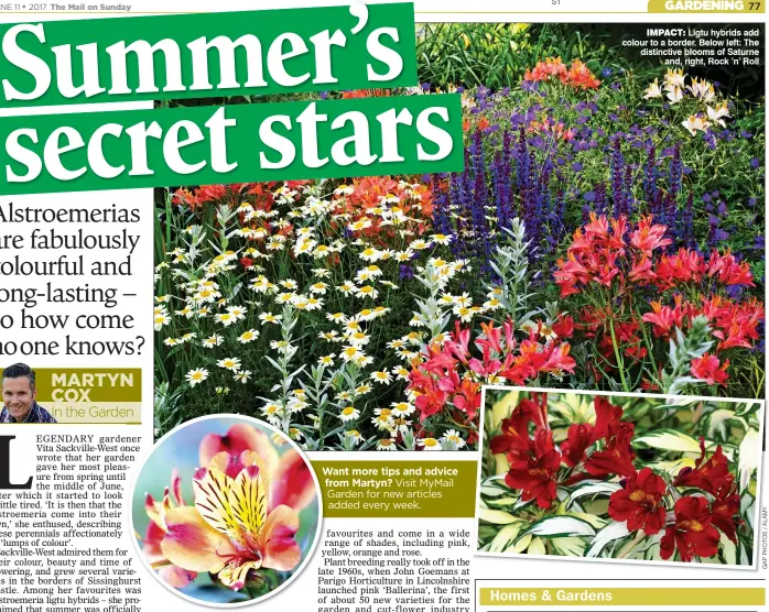  ??  ?? IMPACT: Ligtu hybrids add colour to a border. Below left: The distinctiv­e blooms of Saturne and, right, Rock ’n’ Roll Want more tips and advice from Martyn? Visit MyMail Garden for new articles added every week.