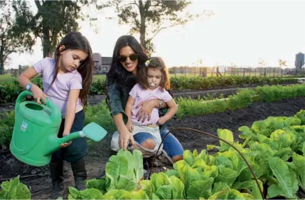  ??  ?? Fascinada con la huerta que tienen en la propiedad, Vaca Guzmán y sus hijas adoran regar y probar las lechugas. Sin tecnología, ni estrés, la armonía familiar es absoluta.