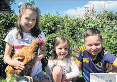  ?? PHOTOS: PAM JONES/SUPPLIED ?? Why did it cross the road? Love family members (from left) Annie (10), Lily (5) and Reuben (12) reflect on the adventures of their chicken ‘‘Clucky’’, who visited the Clyde Challenge petrol station and the Dunstan Hotel with her sidekick ‘‘Nugget’’ during travels around Clyde while their owners were away. Right: Clucky, after being caught at the petrol station last weekend.