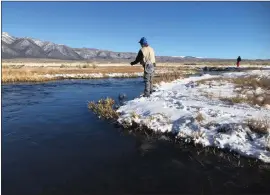  ?? ?? Trophy trout numbers are increasing in the upper Owens River and the snow is not inhibiting access.