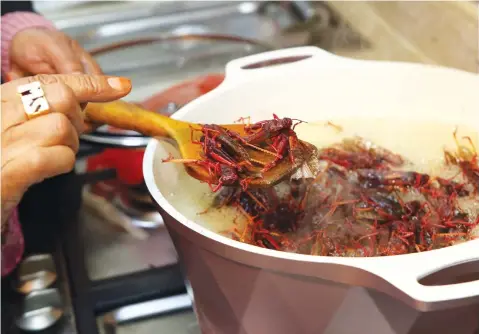  ?? (AFP photos) ?? A surprising­ly nutritious edible insect, locusts are a delicacy for some in Kuwait, while others are repulsed by the crunchy culinary offering