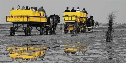  ??  ?? „Hoch auf dem gelben Wagen“von René Storch aus Flöha: „Wenn nach der Flut das Wasser wieder mit der Ebbe zurück geht, fahren viele Wattwagen von Cuxhaven zur Insel Neuwerk. Ich war gerade mitten drin im Watt, als diese tollen gelben Wagen vorbei kamen.“