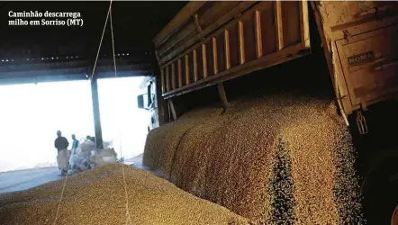  ?? Nacho Doce - 26.jul.2017/Reuters ?? Caminhão descarrega milho em Sorriso (MT)