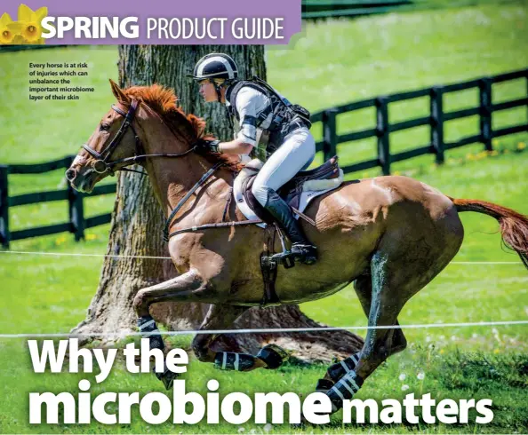  ??  ?? Every horse is at risk of injuries which can unbalance the important microbiome layer of their skin