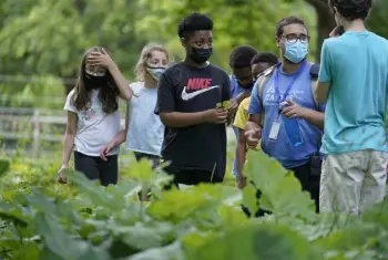  ?? Steven Senne, The Associated Press ?? Students, from left, Lyla Mendoza, Nesha Moskowitz and Giovanni Pierre and camp educator Adrian Oller, right, examine wild sorrel during a hike at Mass Audubon’s Boston Nature Center and Wildlife Sanctuary last month in Boston.