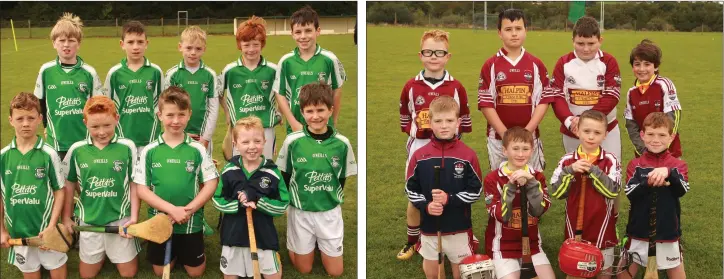  ??  ?? The Naomh Eanna Under-10 team at the Noel O’Brien Memorial tournament in Monamolin. The Liam Mellows Under-9 team at the Noel O’Brien Memorial tournament in the Buffers Alley grounds.