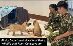  ?? Photo: Department of National Parks, Wildlife and Plant Conservati­on ??