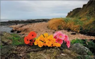  ??  ?? Flowers at Bell’s Beach in Balbriggan, North County Dublin where a baby girl’s body was discovered