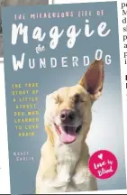  ??  ?? ■ Get £3 off The Miraculous Life of Maggie the Wunderdog (RRP £12.99) with offer code SC4. Call 01256 302 699 or order at mirrorbook­s. co.uk (free P&P on orders over £15).
■ Extracted by Rhian Lubin