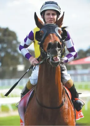  ?? Photo: GETTY IMAGES ?? Sacred Elixir and jockey Zac Purton are regarded as close to unbeatable in the 2500m Victoria Derby at Flemington tomorrow.