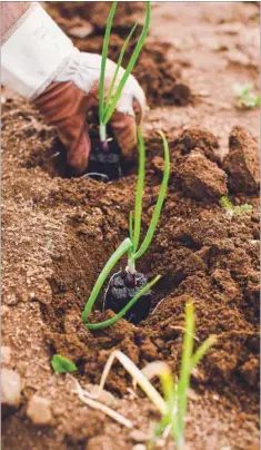  ?? ?? CONCERN: Around the world, government subsidies that harm nature amount to at least $1.8tn each year — equivalent to 2% of global GDP — according to a study published in February by the Business for Nature advocacy group.