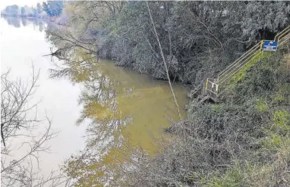  ?? EP ?? Zona del río Guadiana donde se realiza captación para el agua que llega hasta Almendrale­jo.