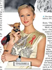  ??  ?? TINKERBELL
The Queen is known for her corgis; Paris Hilton, left, favours the chihuahua