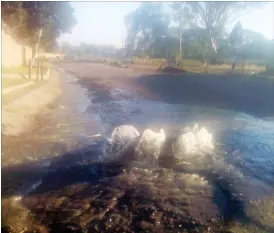  ??  ?? Sewer pipe bursts continue to haunt Makokoba residents in Bulawayo. The city council, meanwhile, continues to caution residents against throwing objects into the sewer lines to limit cases of pipe bursts. This picture taken yesterday shows an overflow...