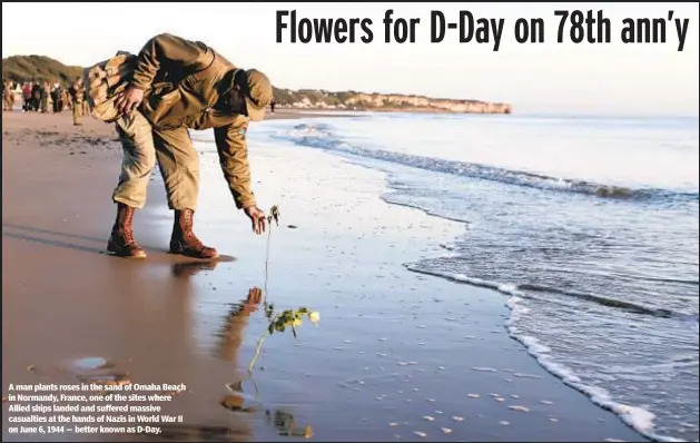  ?? ?? A man plants roses in the sand of Omaha Beach in Normandy, France, one of the sites where Allied ships landed and suffered massive casualties at the hands of Nazis in World War II on June 6, 1944 — better known as D-Day.