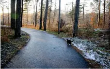  ?? Bild: Susanne Engdahl-jensen ?? En katt följer glatt med på promenaden mot Kvarnvägen där Oste-kalle bodde.