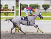  ??  ?? Princess Eowyn crosses the finish line in the Sampaguita Stakes Race, one of the year’s top stakes races.