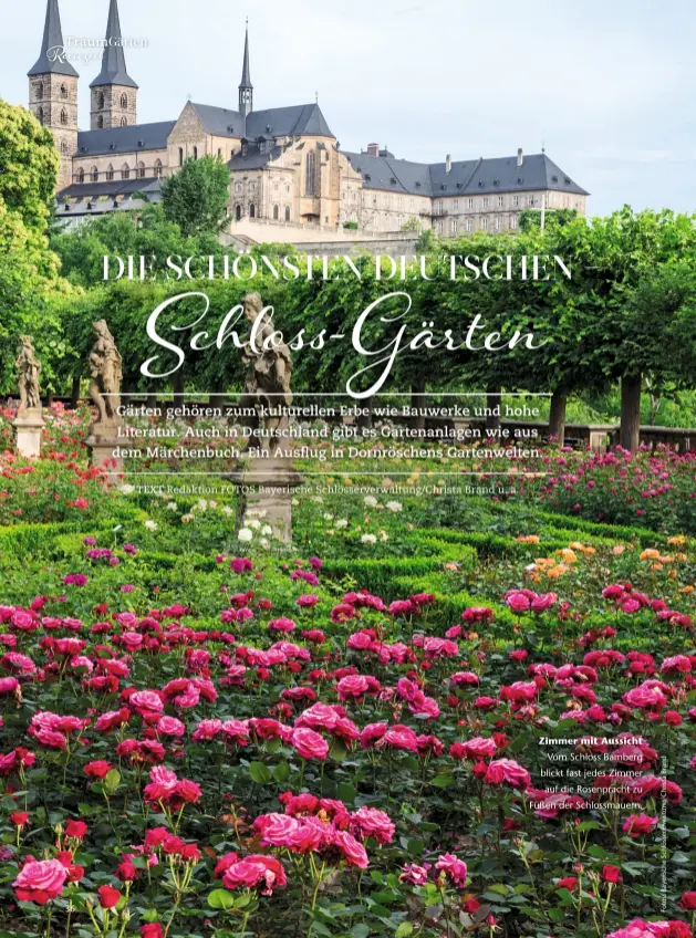  ??  ?? Zimmer mit Aussicht Vom Schloss Bamberg blickt fast jedes Zimmer auf die Rosenprach­t zu Füßen der Schlossmau­ern.