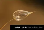  ??  ?? Ludek Lukác Slovak Republic