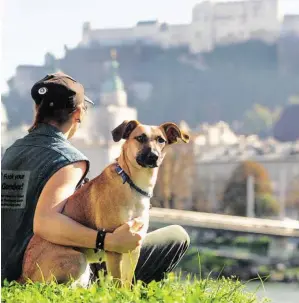  ?? BILD: SN/ROBERT RATZER ?? Hundesteue­r mehr. In der Stadt Salzburg beträgt sie für einen Hund