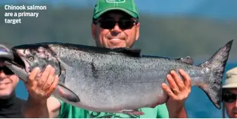  ??  ?? Chinook salmon are a primary target