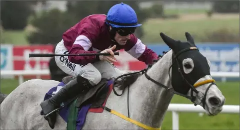  ??  ?? Disko, with Seán Flanagan up, on their way to winning the Flogas Novice Steeplecha­se at Leopardsto­wn on Sunday.