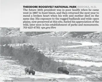  ?? LAURA THOMAS, NPS ?? Theodore Roosevelt National Park preserves the land where the future president came to hunt. Roosevelt set aside 200 million acres for public protection during his presidency.