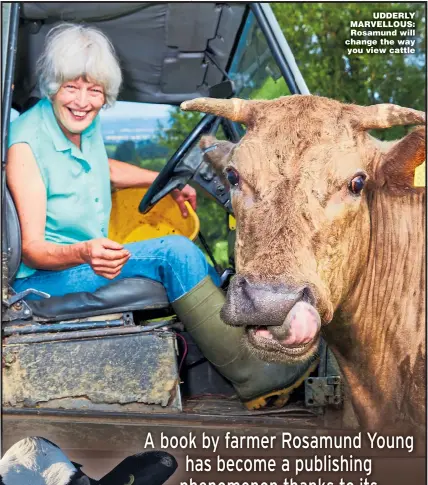  ?? Pictures: LES WILSON/MAIL ON SUNDAY/SOLD SYNDICATIO­N; GETTY ?? UDDERLY MARVELLOUS: Rosamund will change the way you view cattle