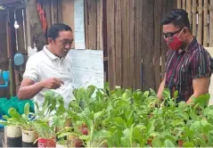  ??  ?? URBAN farming advocate Ian Fred Solas (left) with this writer in their farms at Barangay Pahanocoy in Bacolod City