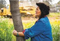  ??  ?? Kolleen Paredes hugs a jacaranda tree, one of two dozen that will be removed by a private contractor by the end of the week.