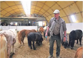  ?? RP-FOTO: KNAPPE ?? Matthias Bongartz sorgt sich um die Zukunft seines Ponyhofs. Im Augenblick muss der 77-Jährige die Arbeit dort fast ganz allein machen, denn seine Helfer musste er nach Hause schicken.