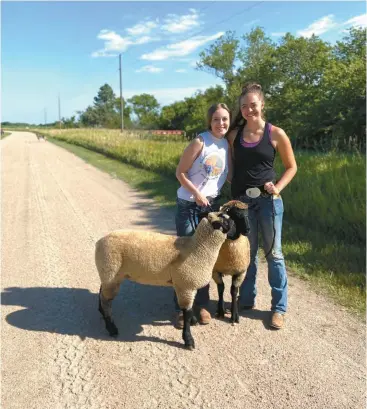  ?? Courtesy ?? Above, Darla Nichols, left, and Karla Nichols stand with market lambs on the driveway to the family farm. “We walk them up and down the driveway every morning,” Darla said. The photo was taken this summer.