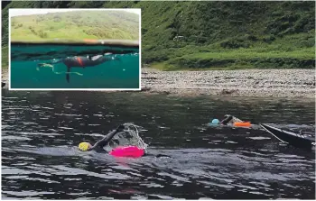  ?? Photograph: Gus Robson. ?? Georgina and support swimmer Jo Totty pass the Cock of Arran. Photograph: Angus Robson/Howard Wood. Inset: An unusual perspectiv­e of Georgina during her swim from under the waterline.